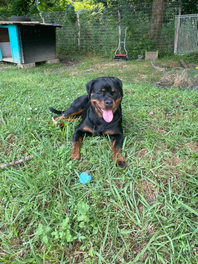 Venus Infinity Love Pei